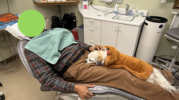 Comfort Dogs Concord, NH